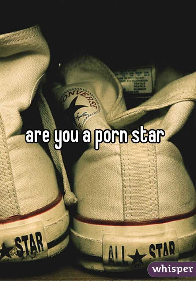 are you a porn star 
