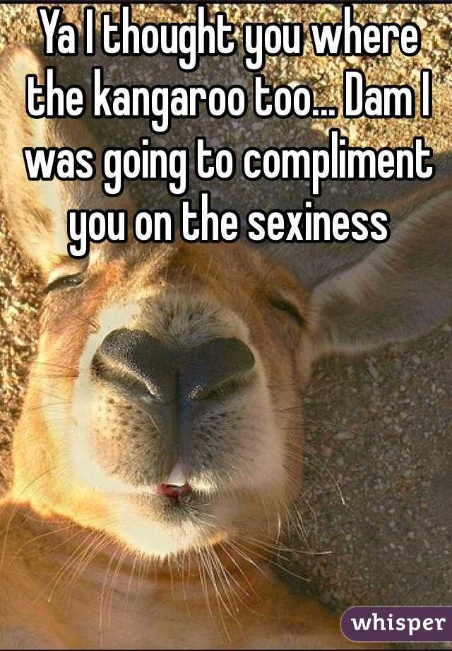 Ya I thought you where the kangaroo too... Dam I was going to compliment you on the sexiness 