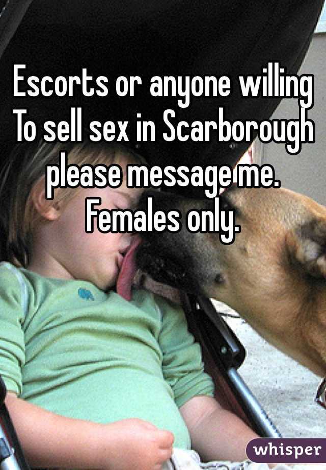 Escorts or anyone willing
To sell sex in Scarborough please message me. Females only. 