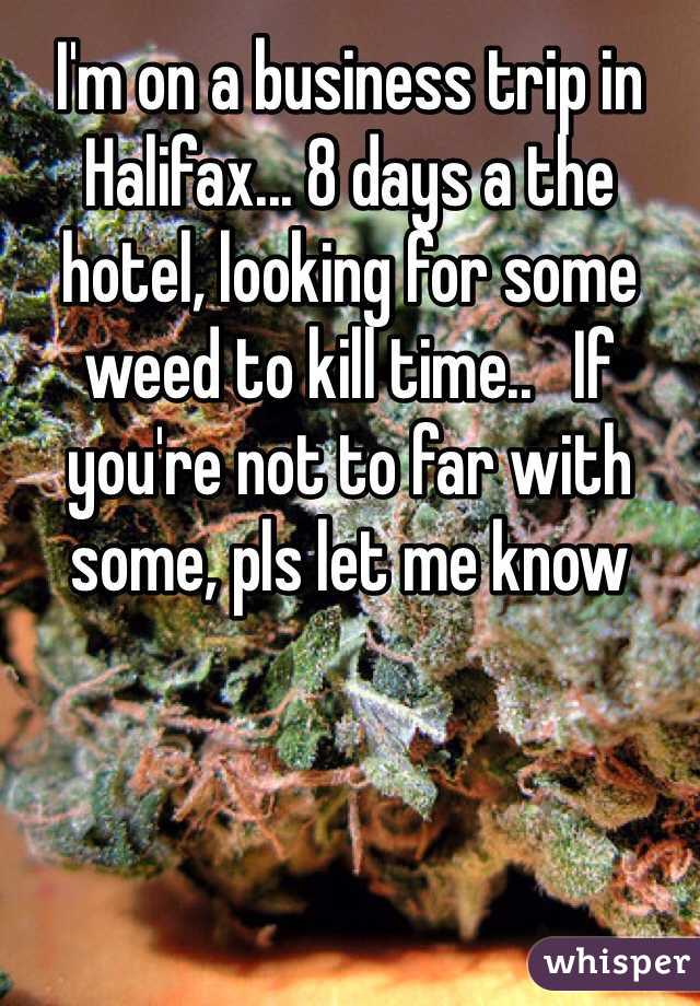 I'm on a business trip in Halifax... 8 days a the hotel, looking for some weed to kill time..   If you're not to far with some, pls let me know