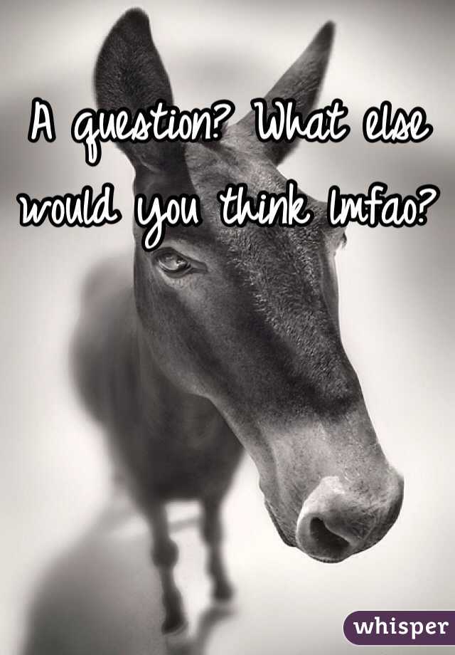 A question? What else would you think lmfao? 
