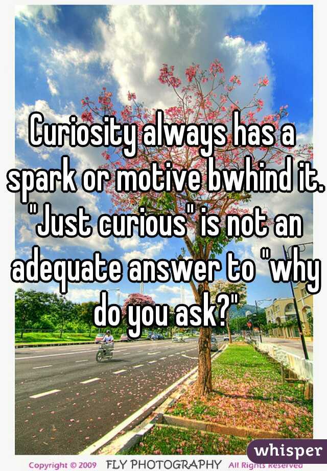 Curiosity always has a spark or motive bwhind it. "Just curious" is not an adequate answer to "why do you ask?"