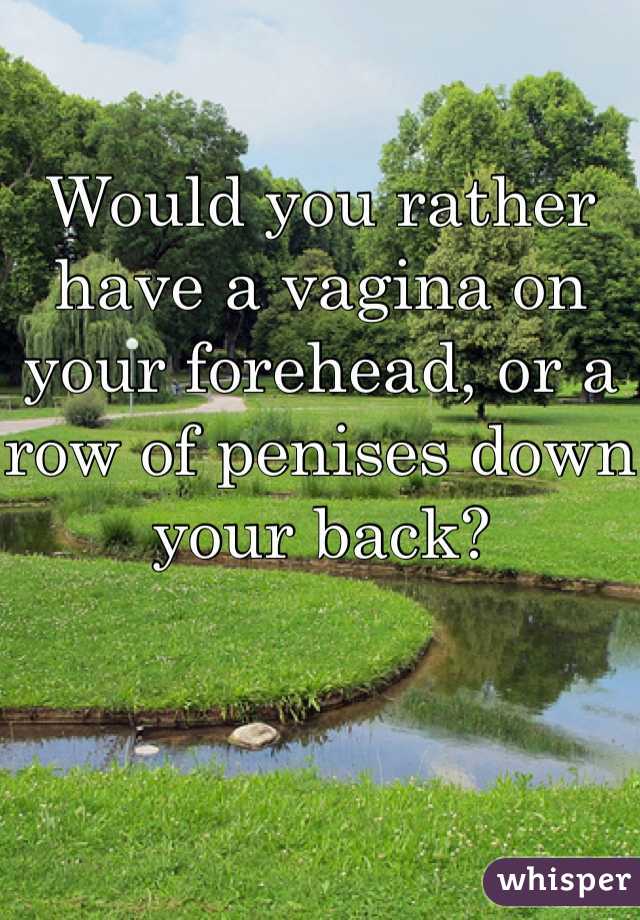 Would you rather have a vagina on your forehead, or a row of penises down your back?