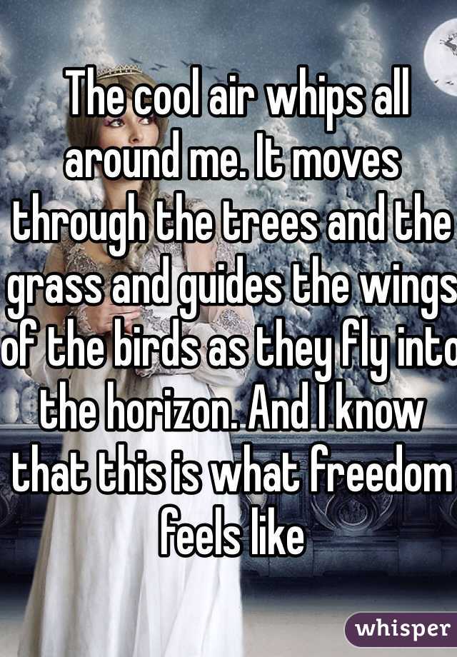 The cool air whips all around me. It moves through the trees and the grass and guides the wings of the birds as they fly into the horizon. And I know that this is what freedom feels like
