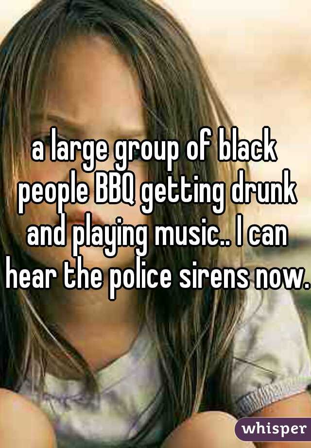 a large group of black people BBQ getting drunk and playing music.. I can hear the police sirens now.