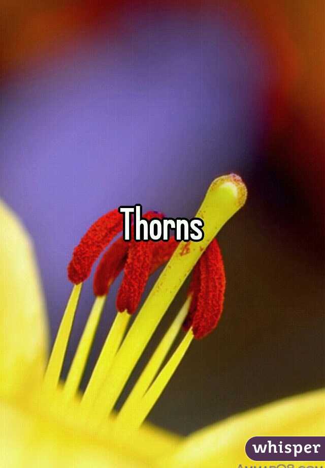 Thorns
