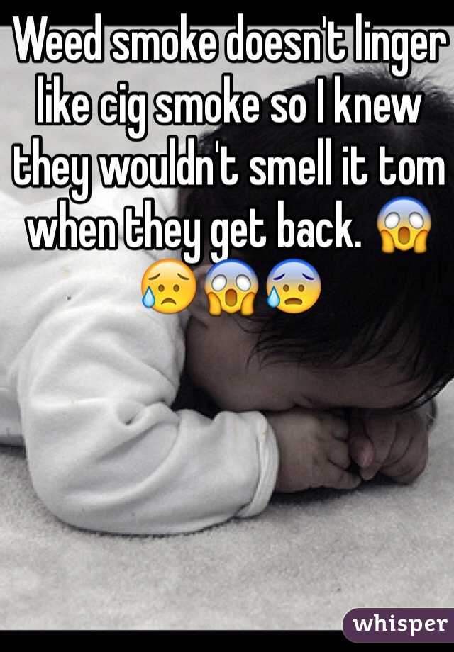 Weed smoke doesn't linger like cig smoke so I knew they wouldn't smell it tom when they get back. 😱😥😱😰