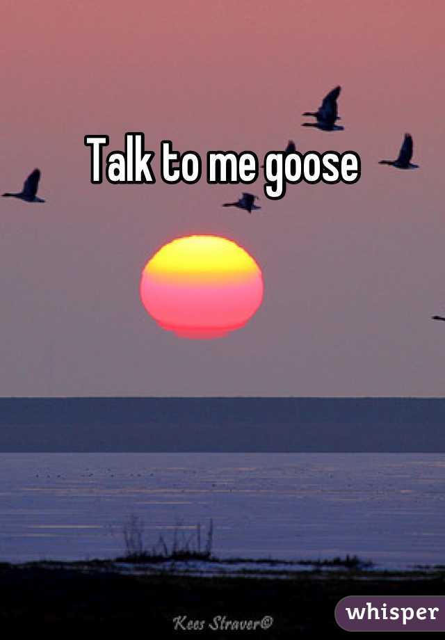 Talk to me goose