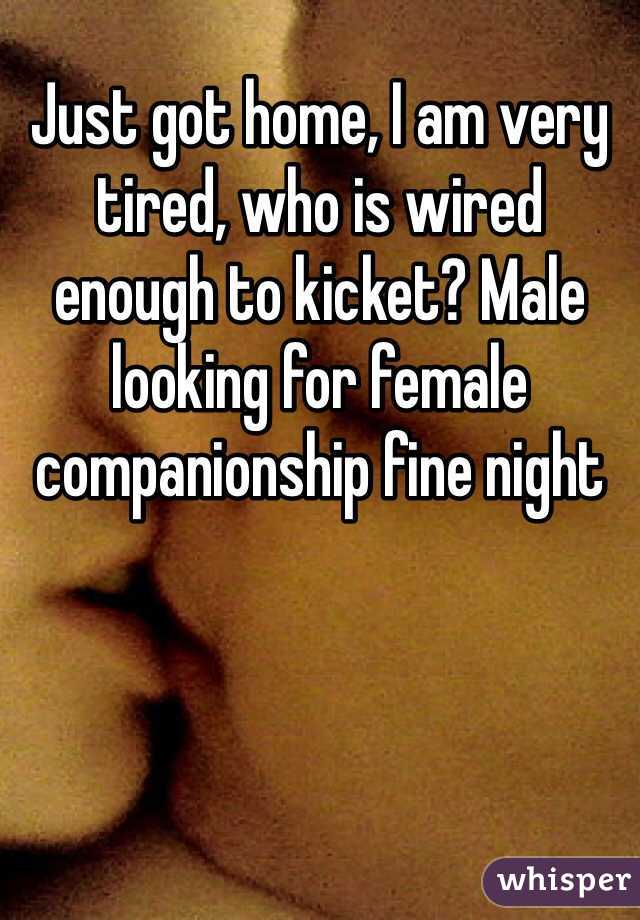Just got home, I am very tired, who is wired enough to kicket? Male looking for female companionship fine night