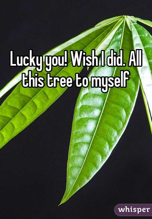 Lucky you! Wish I did. All this tree to myself