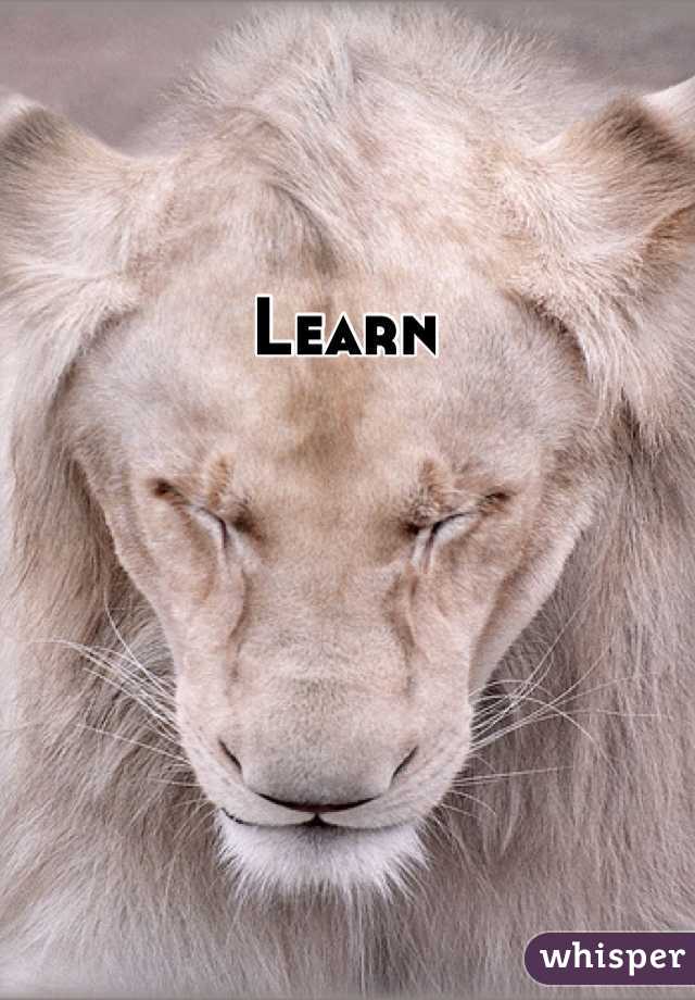 Learn