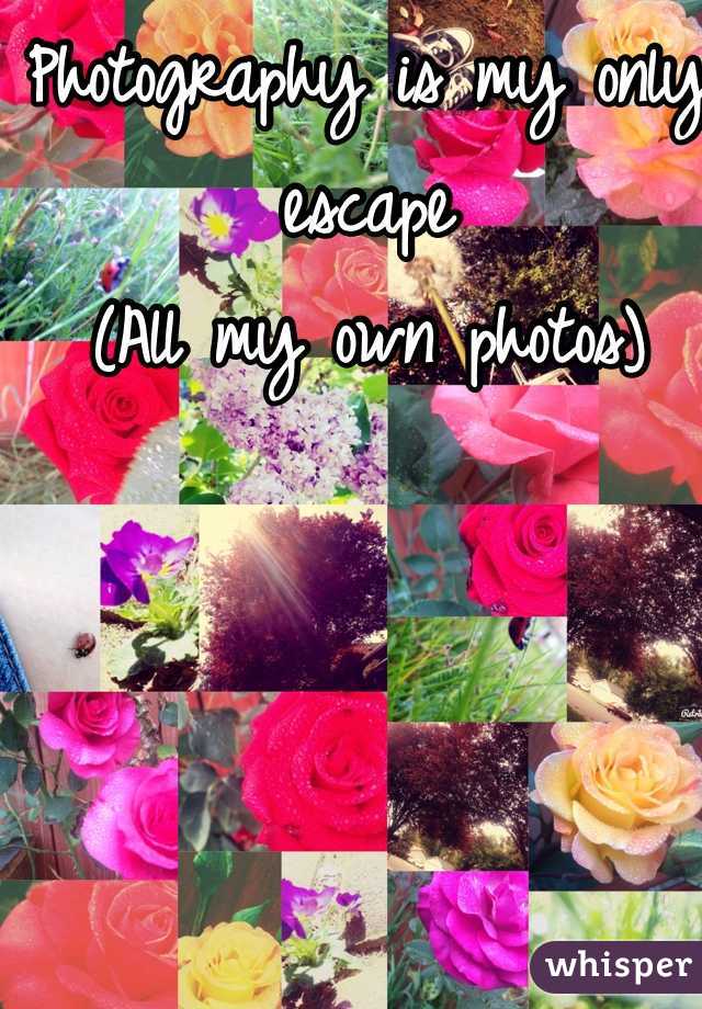 Photography is my only escape
(All my own photos)
