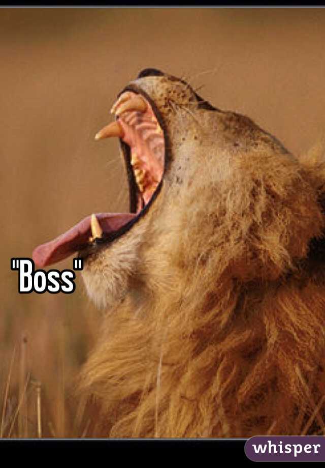 "Boss"