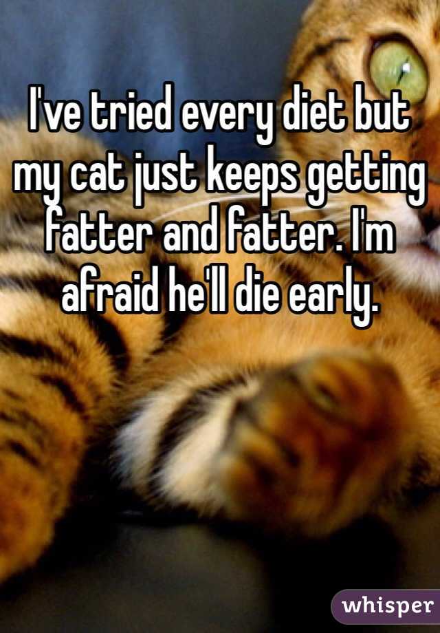 I've tried every diet but my cat just keeps getting fatter and fatter. I'm afraid he'll die early. 