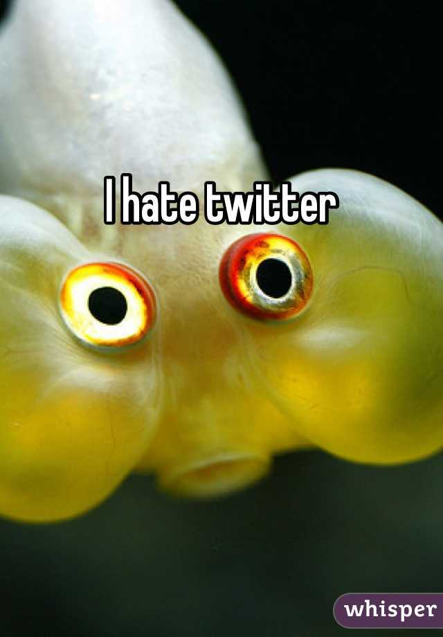 I hate twitter 