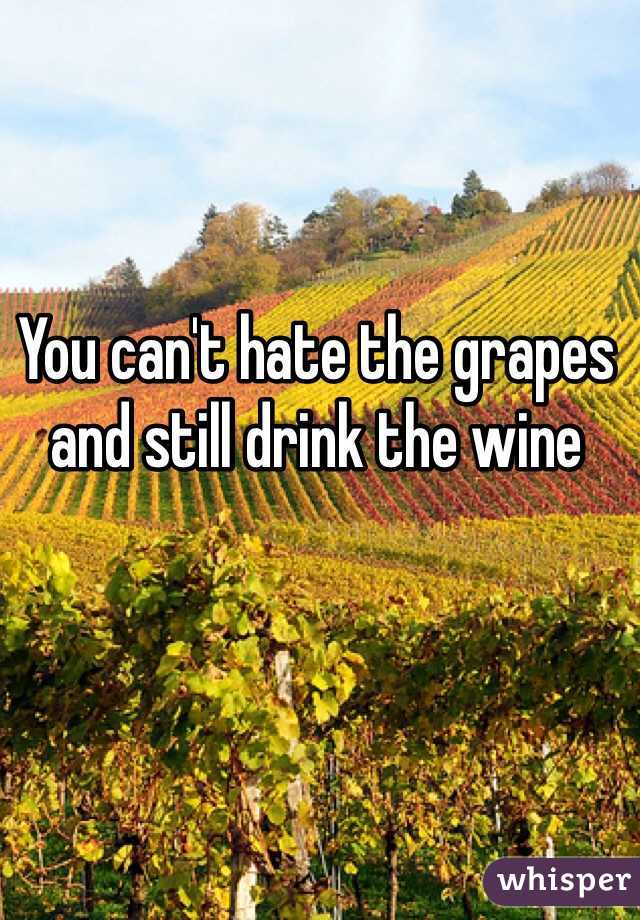 You can't hate the grapes and still drink the wine 