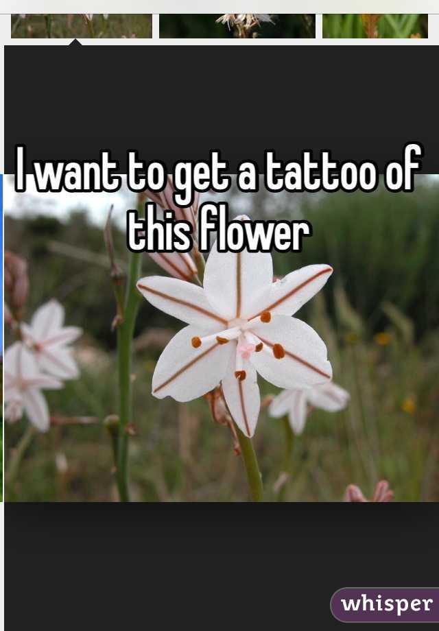 I want to get a tattoo of this flower