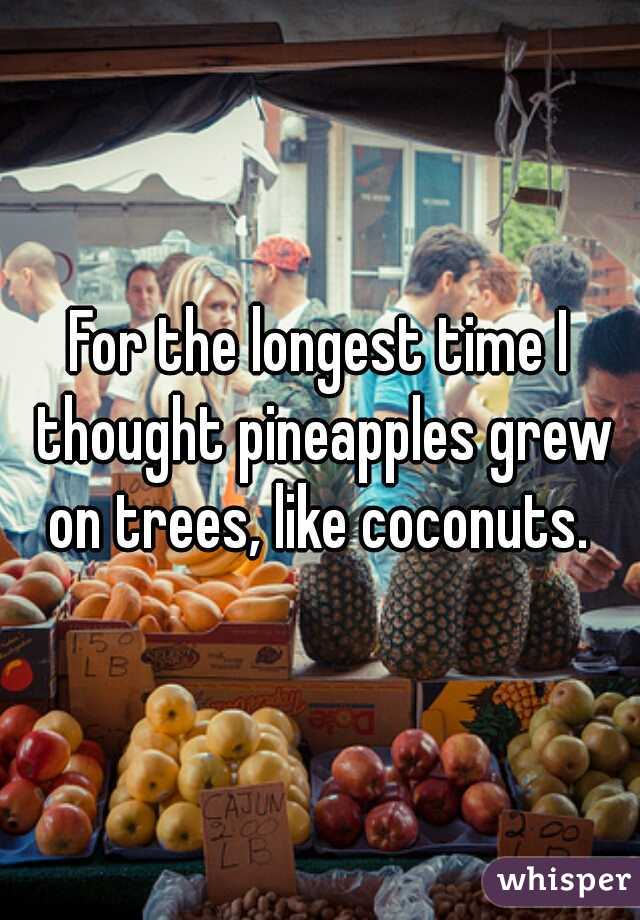 For the longest time I thought pineapples grew on trees, like coconuts. 