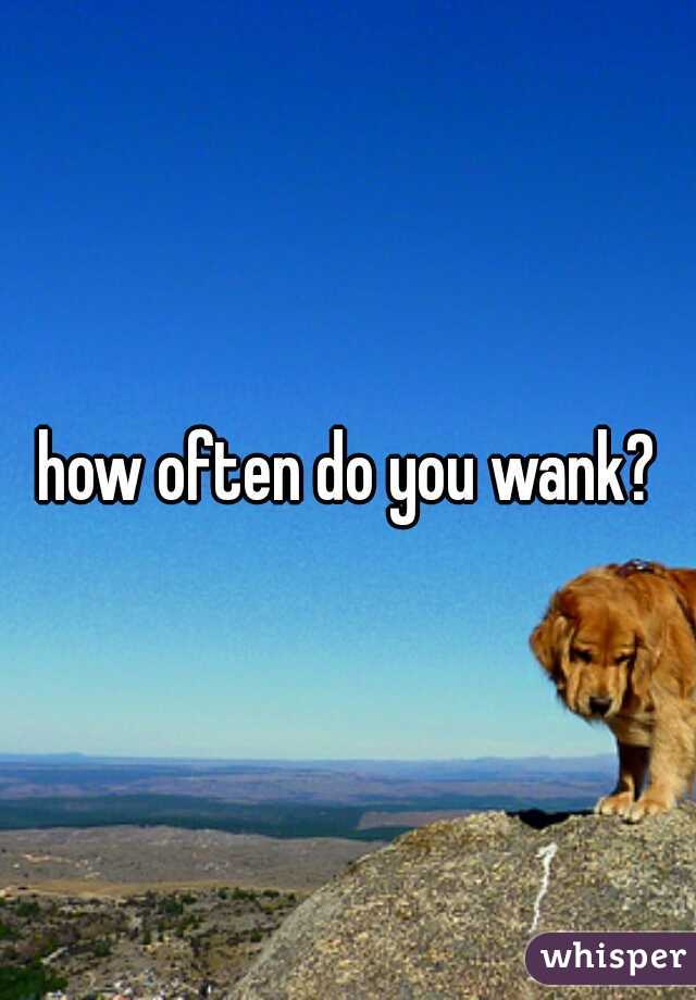 how often do you wank?
