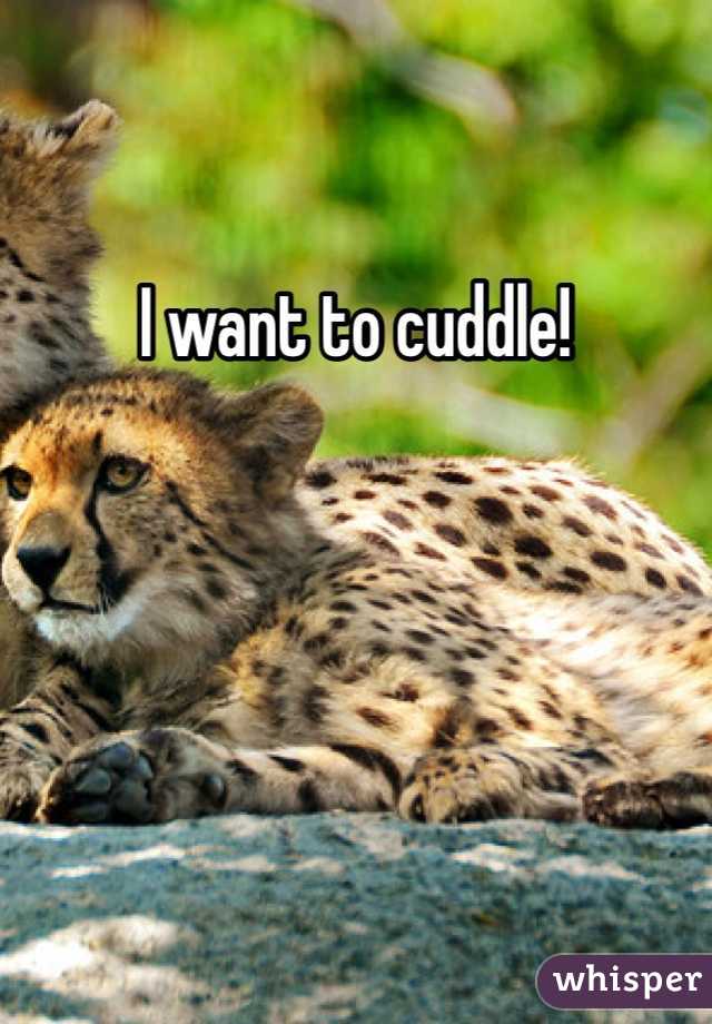 I want to cuddle!