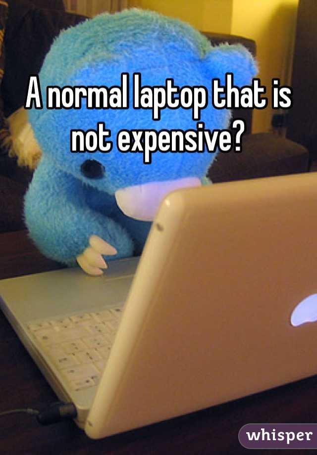 A normal laptop that is not expensive? 