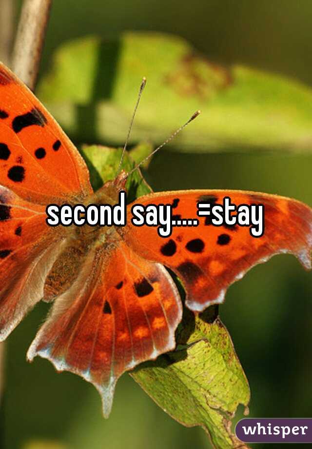 second say.....=stay