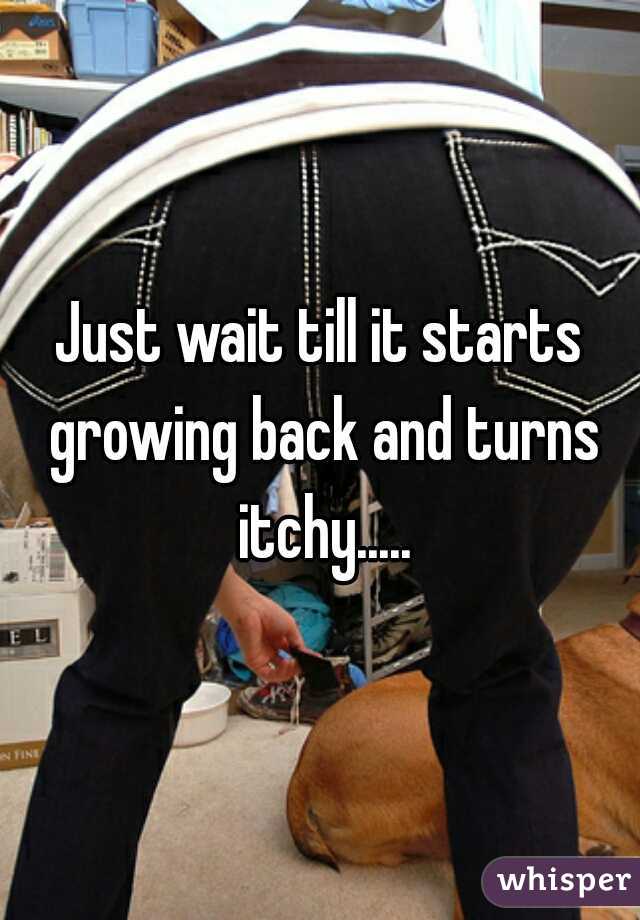 Just wait till it starts growing back and turns itchy.....