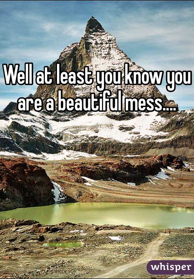 Well at least you know you are a beautiful mess....