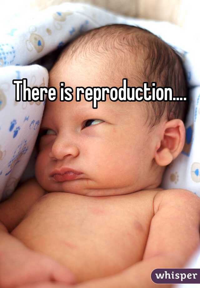 There is reproduction....
