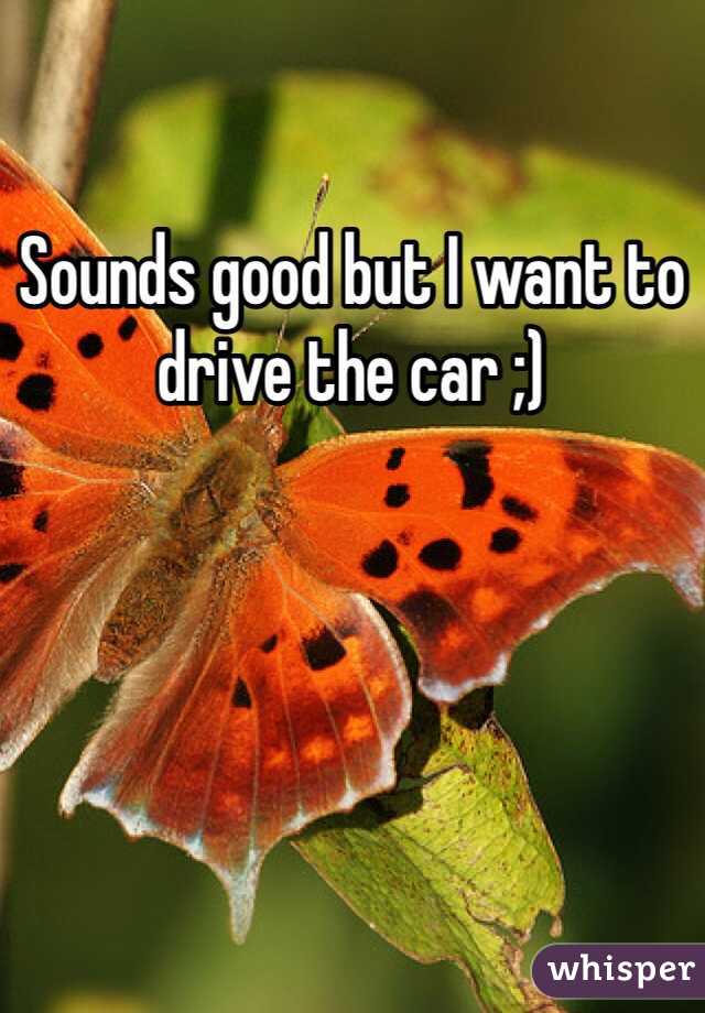 Sounds good but I want to drive the car ;)
