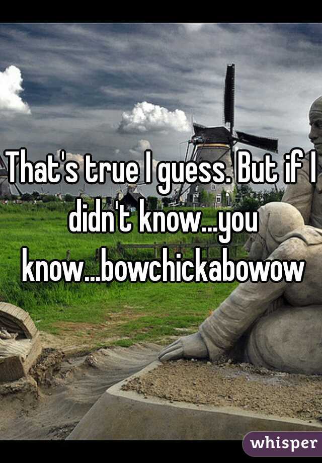 That's true I guess. But if I didn't know...you know...bowchickabowow