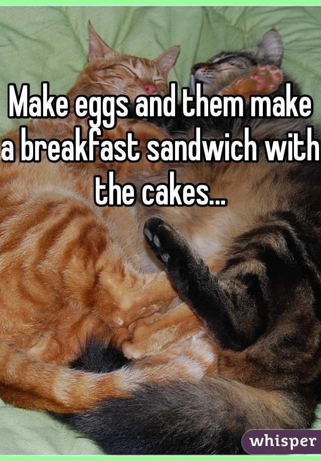 Make eggs and them make a breakfast sandwich with the cakes...
