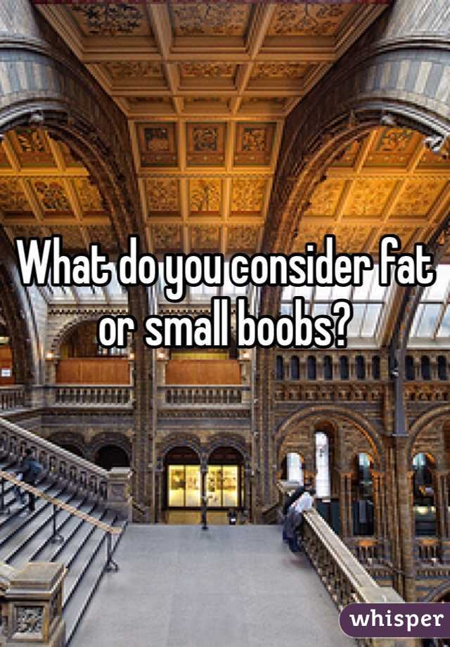 What do you consider fat or small boobs?