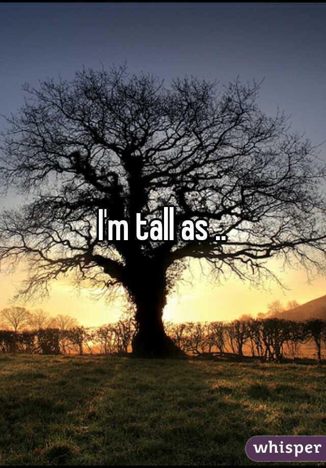 I'm tall as ..