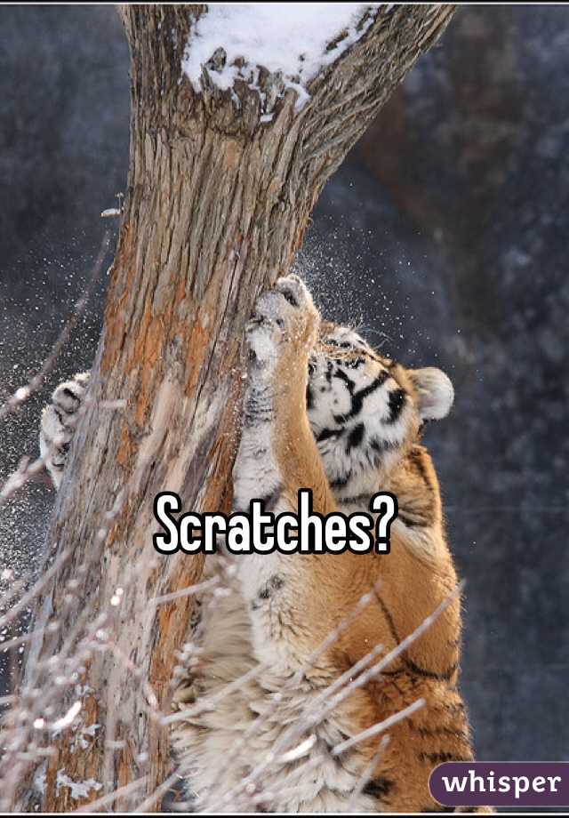 Scratches?