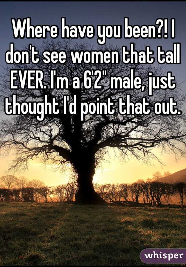 Where have you been?! I don't see women that tall EVER. I'm a 6'2" male, just thought I'd point that out. 