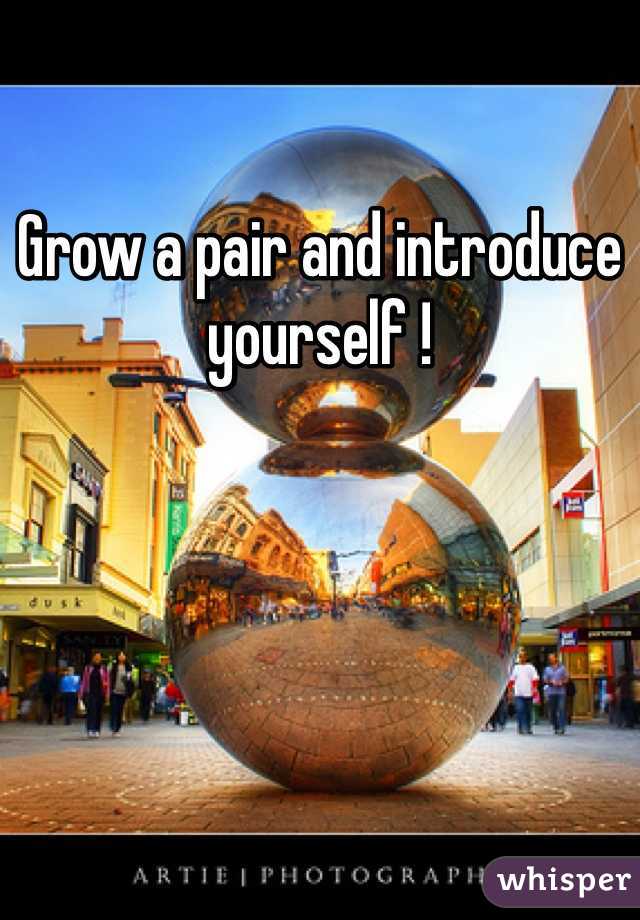 Grow a pair and introduce yourself !