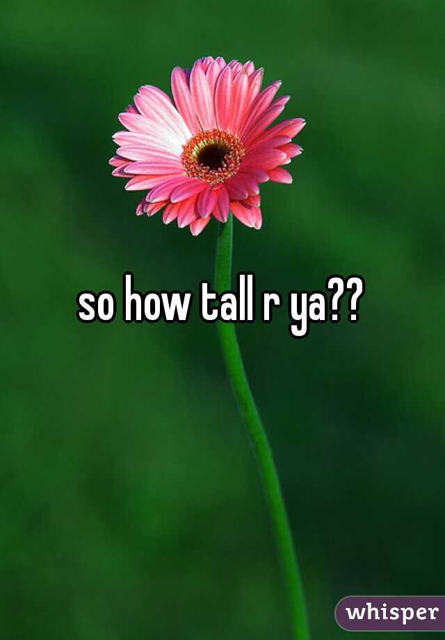 so how tall r ya??