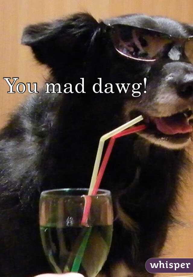You mad dawg!
