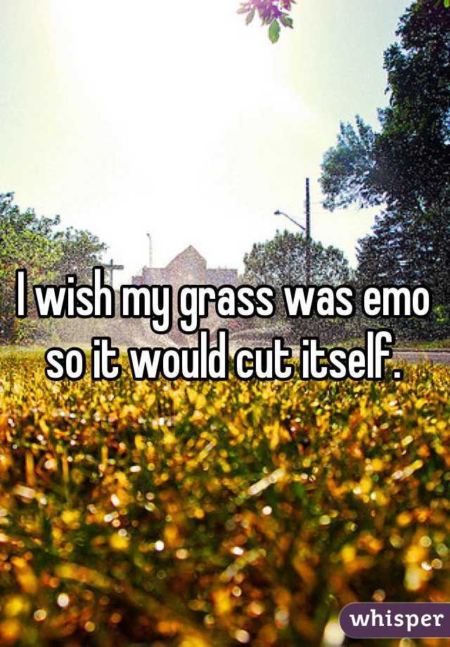 I wish my grass was emo so it would cut itself.