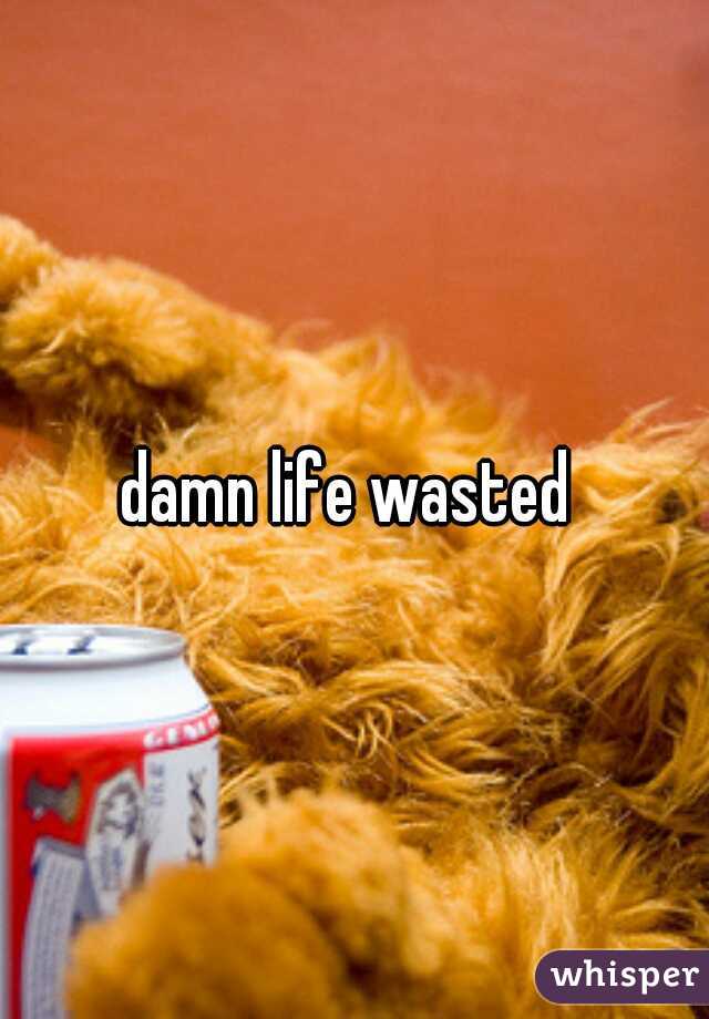 damn life wasted 
