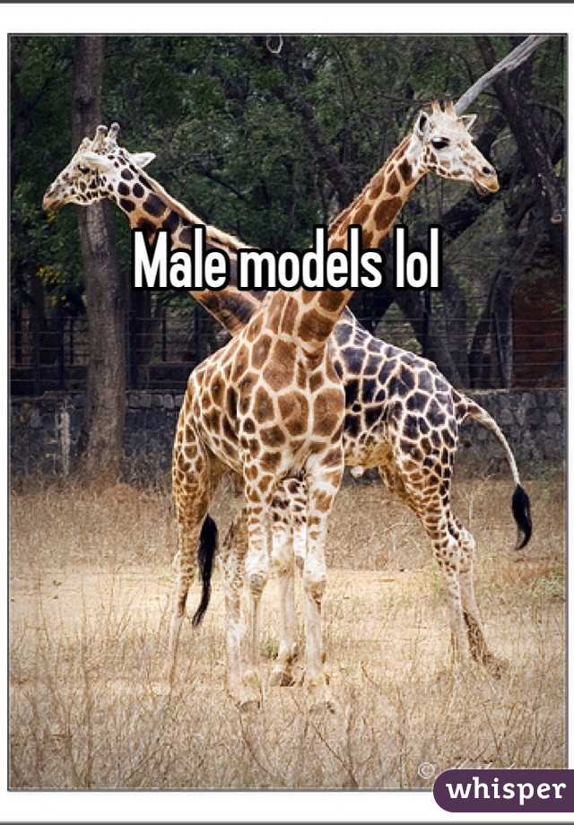 Male models lol 