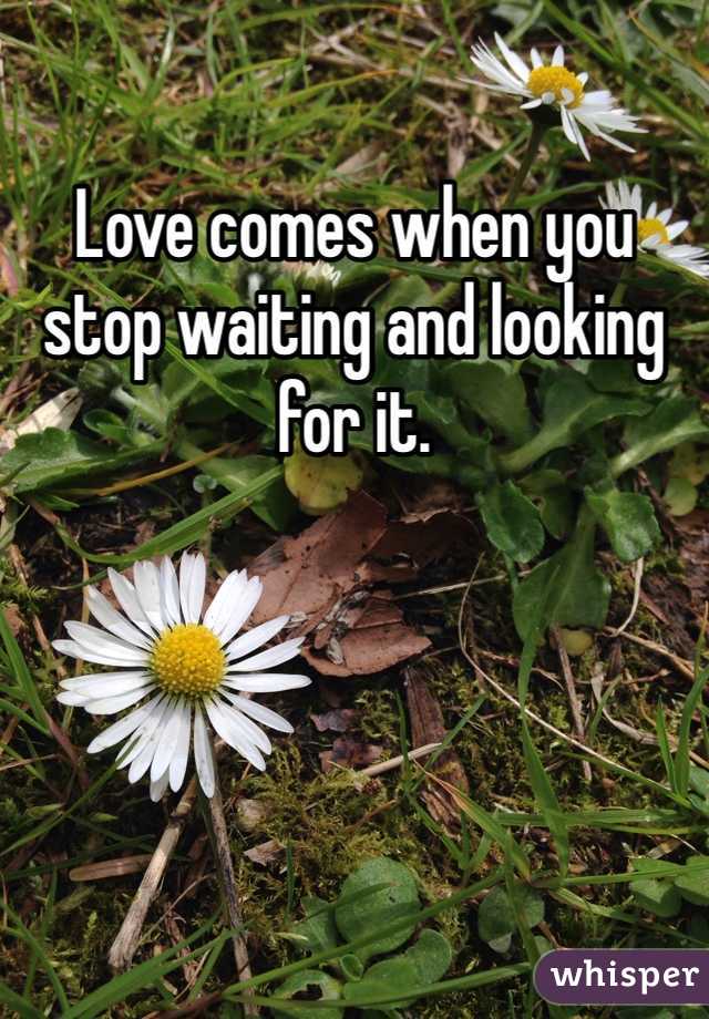 Love comes when you stop waiting and looking for it.
