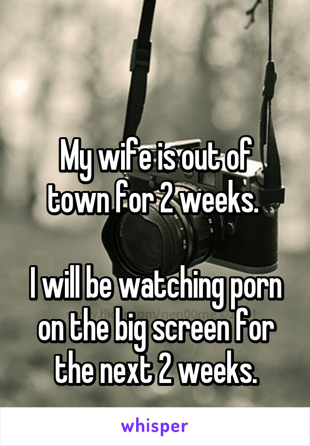 

My wife is out of town for 2 weeks. 

I will be watching porn on the big screen for the next 2 weeks.