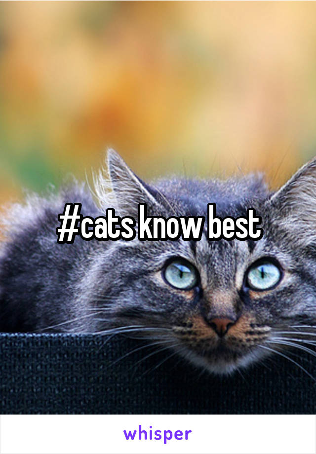 #cats know best