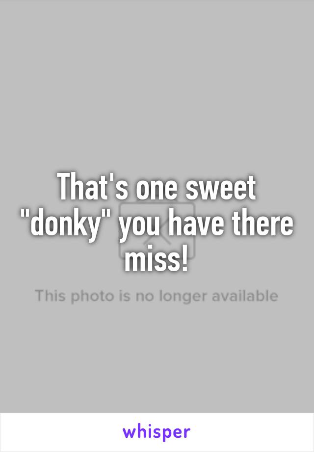 That's one sweet "donky" you have there miss!