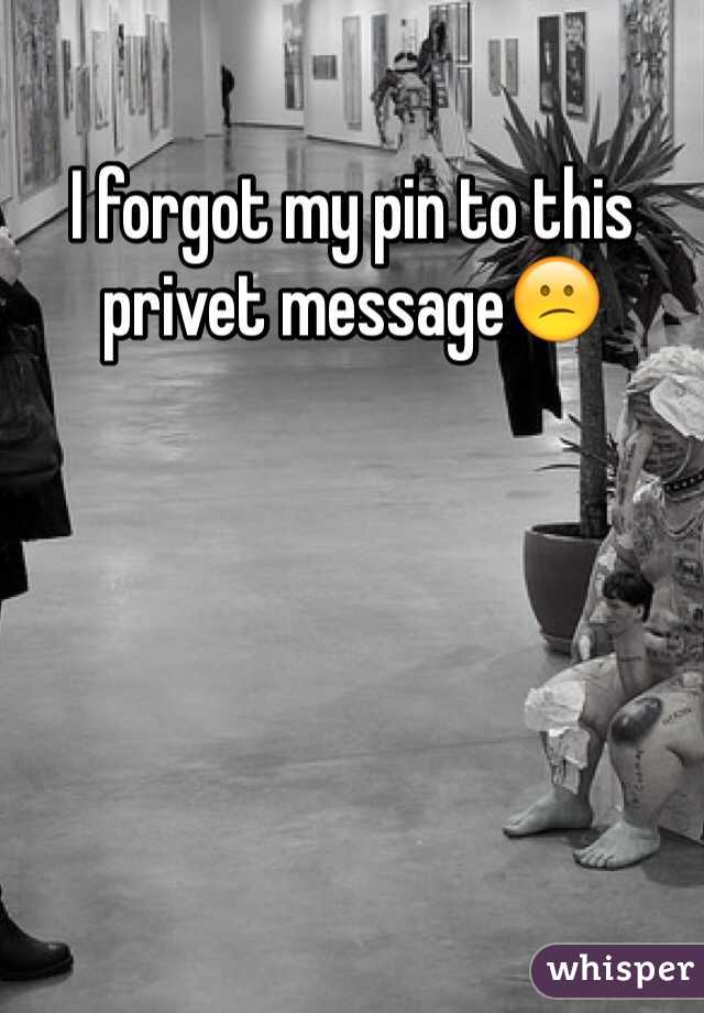 I forgot my pin to this privet message😕