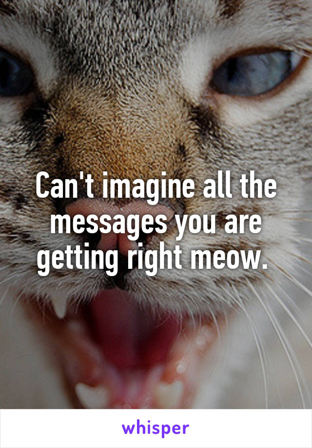 Can't imagine all the messages you are getting right meow. 