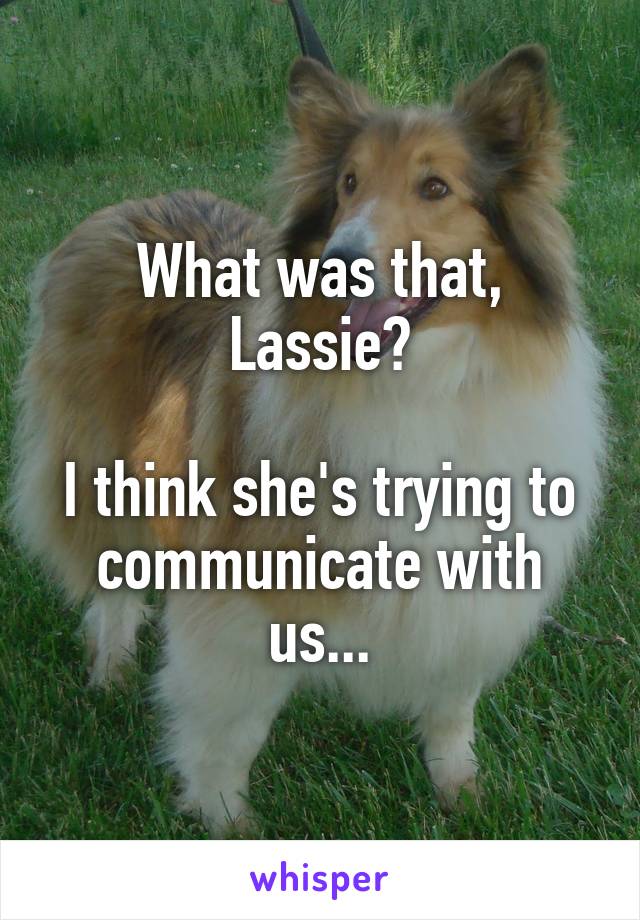 What was that, Lassie?

I think she's trying to communicate with us...