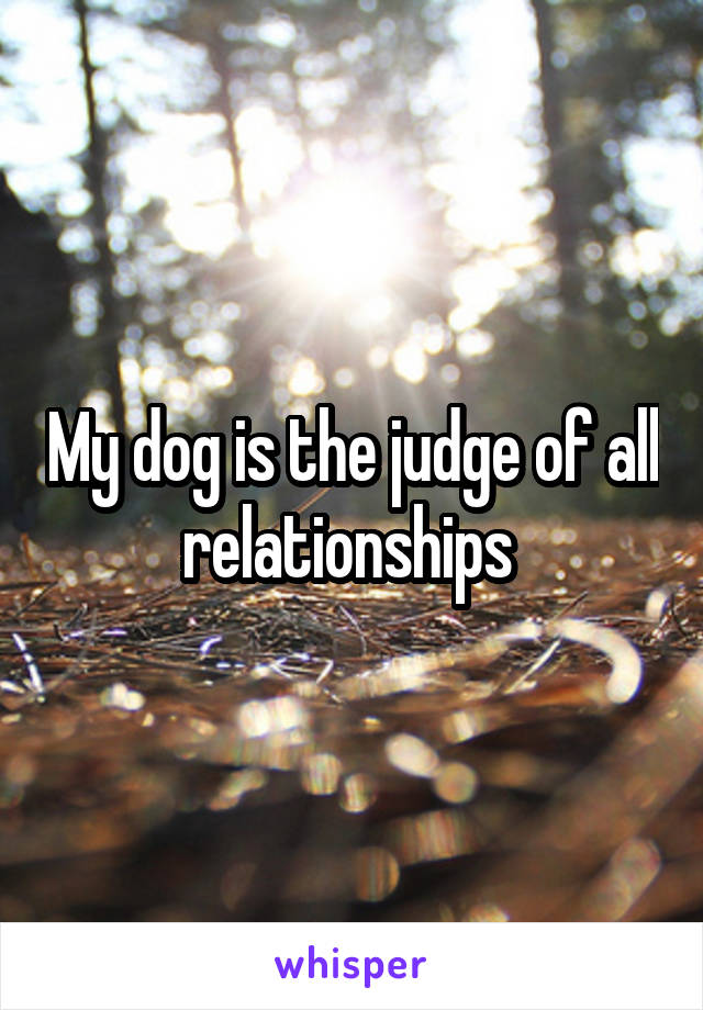 My dog is the judge of all relationships 